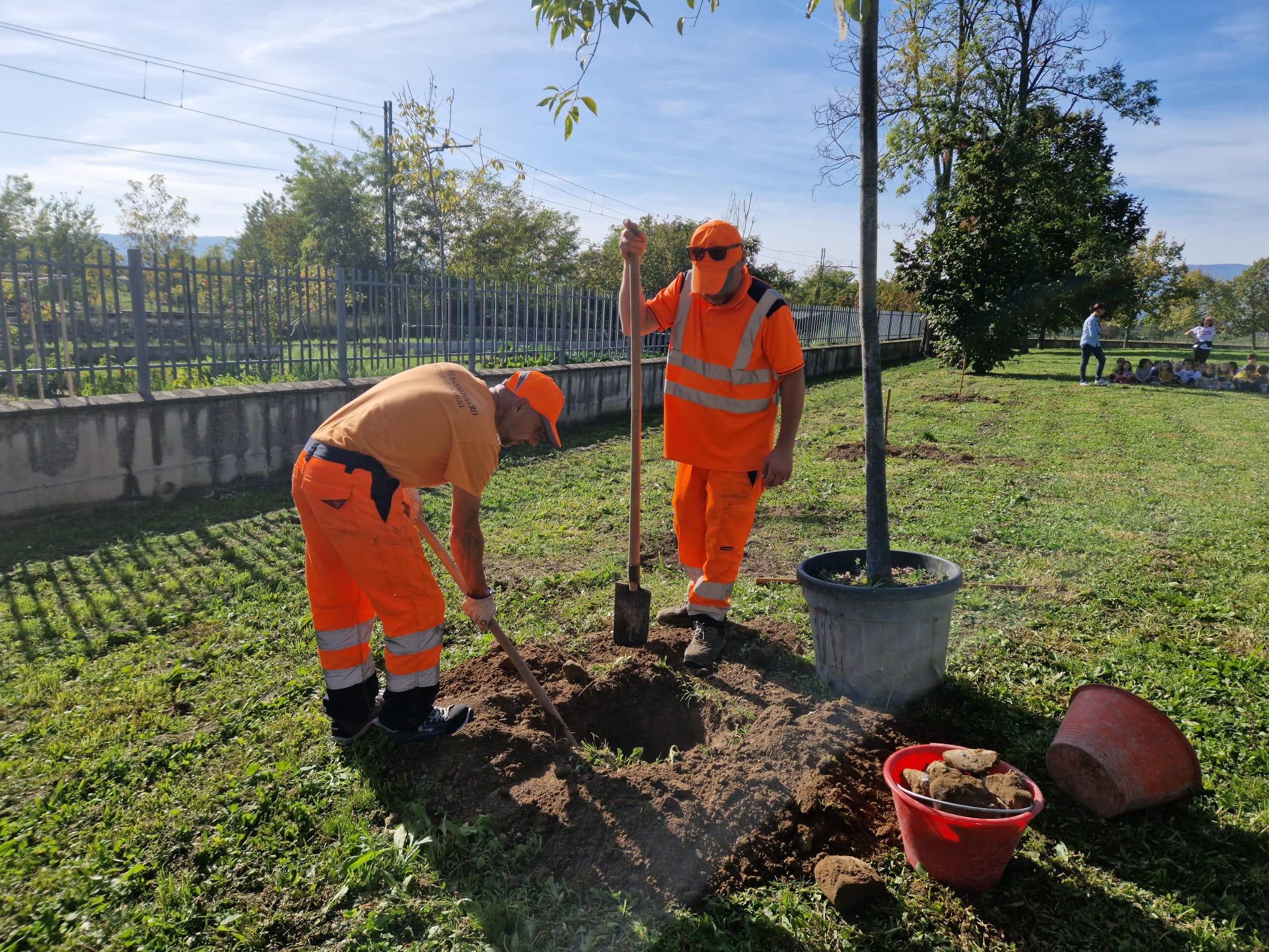 piantumazione alberi