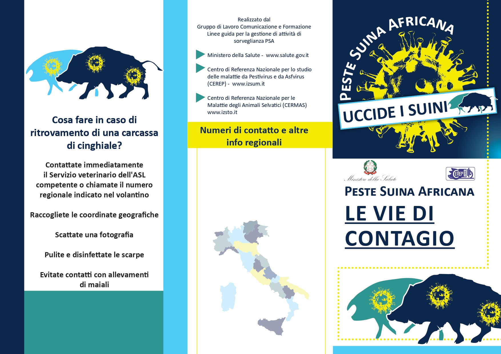 peste suina_le_vie_del_contagio_page-0001