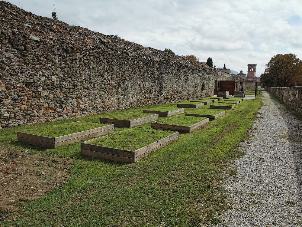 orti_sociali_2