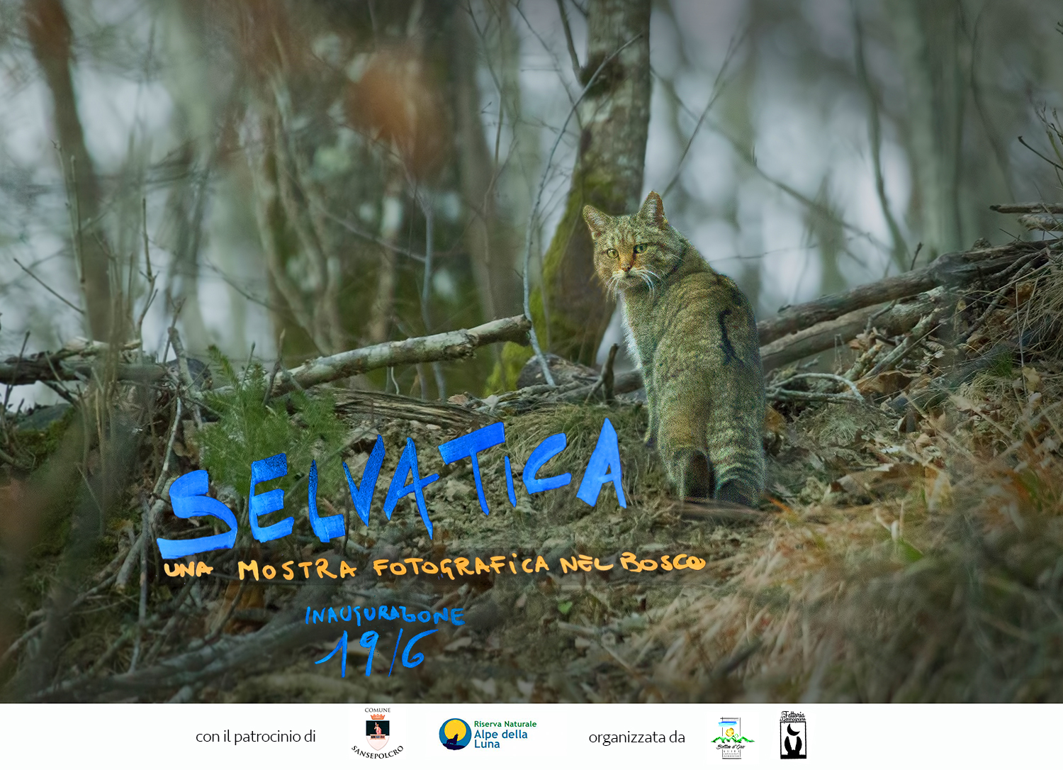 locandina_mostra_selvatica