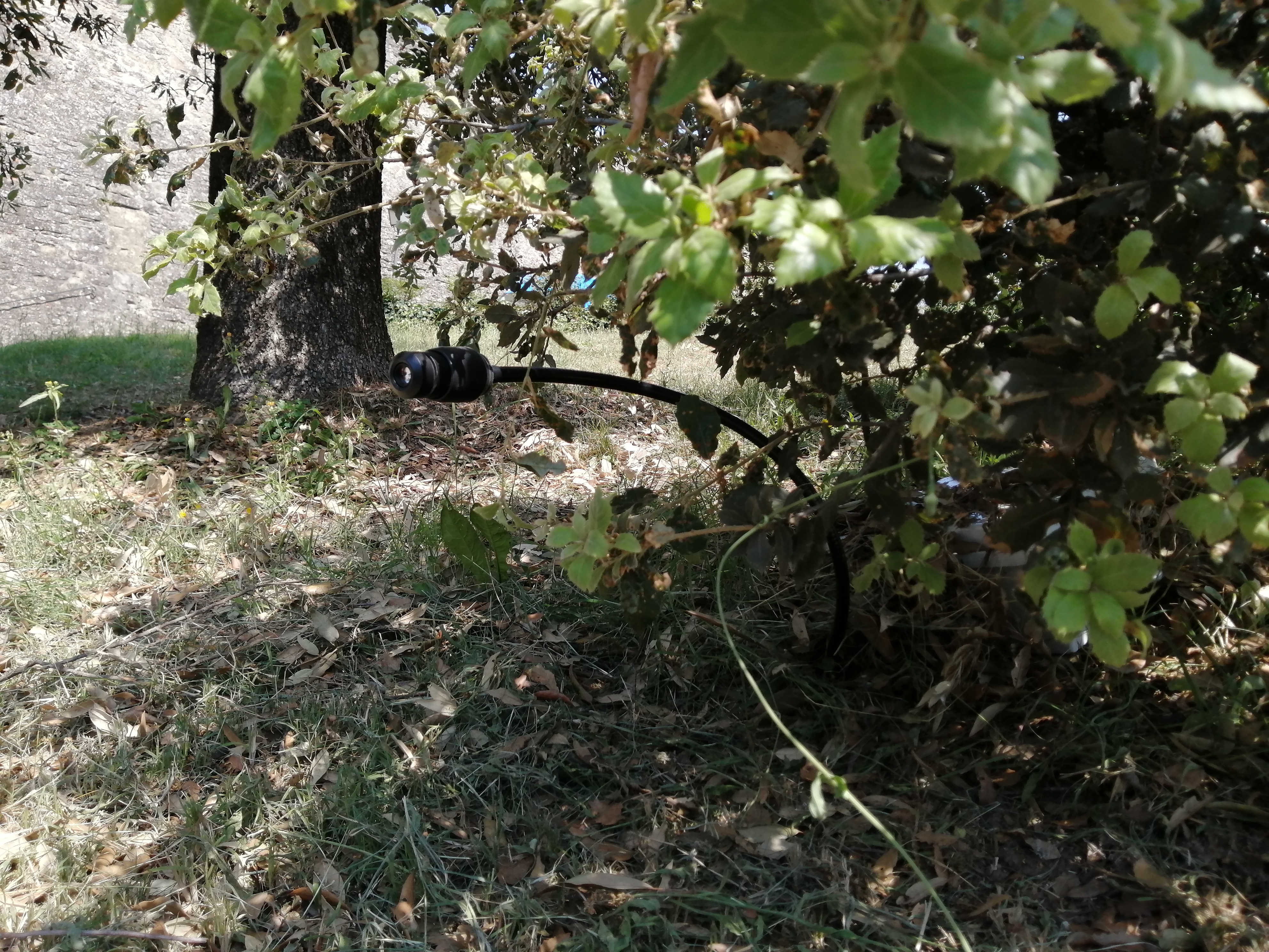 Presidio e controllo del territorio: a Sansepolcro arriva la foto-trappola “killer” contro l’abbandono dei rifiuti
